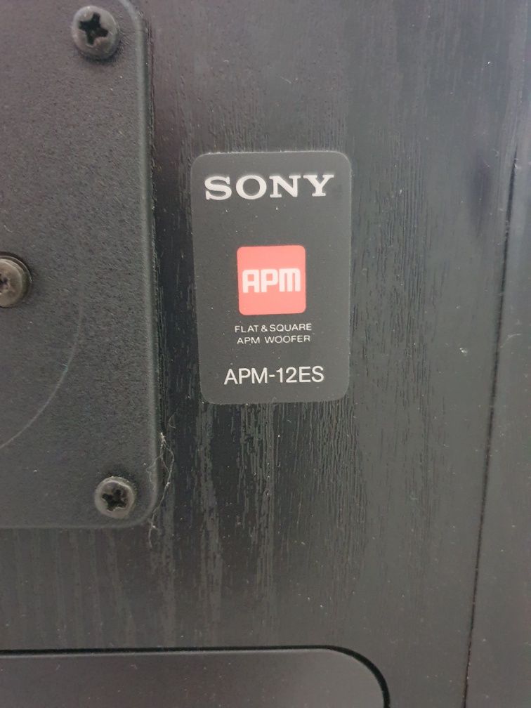 Kolumny sony APM-12ES