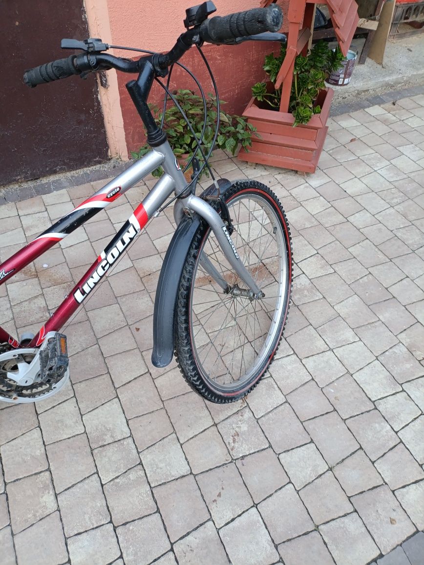 Rower Linkoln damka