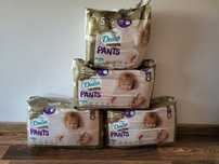 Dada pants 5 146 sztukę