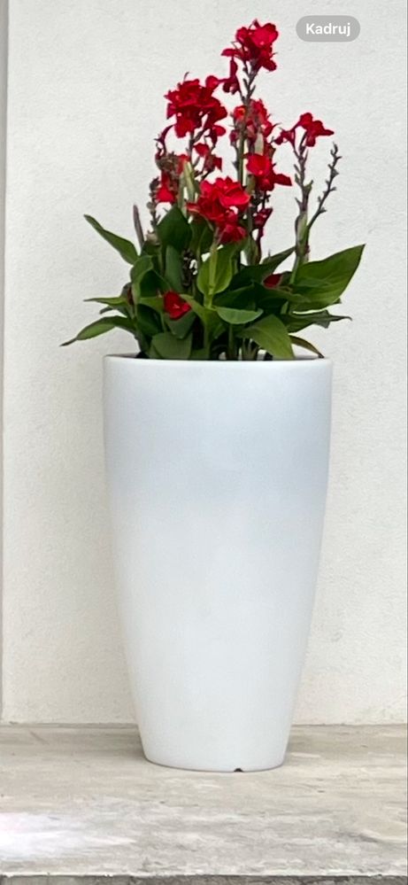 Sprzedam 2 duże donice led