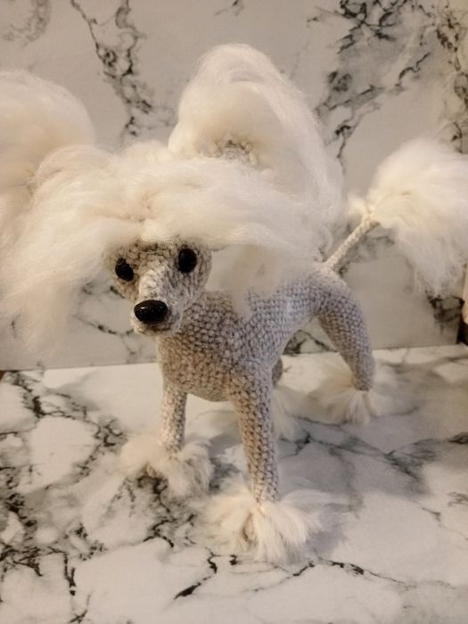 Китайская хохлатая