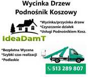 Wycinka  drzew, zwyżka, podnośnik koszowy