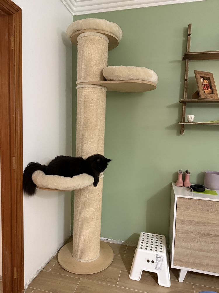 Arranhador gatos natural  paraside XXL