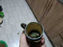 Pequena caneca das caldas da rainha