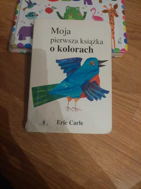 moja pierwsza książka o kolorach Eric carle, poznaję kolory