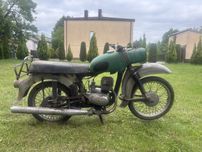 Mz trophy stodolniak