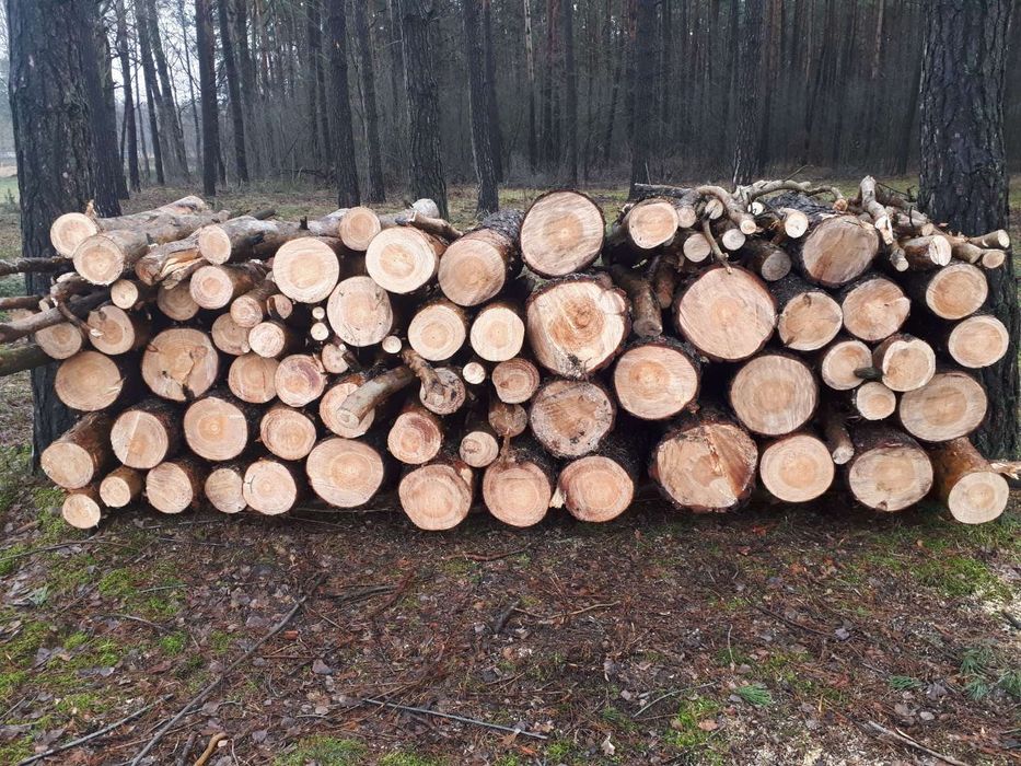 Drewno opałowe sprzedam