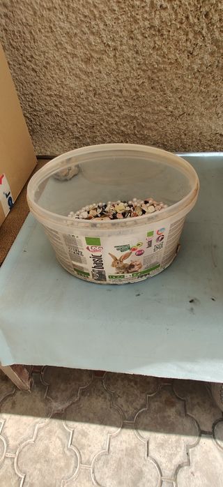 Набор бисера бусин ракушек