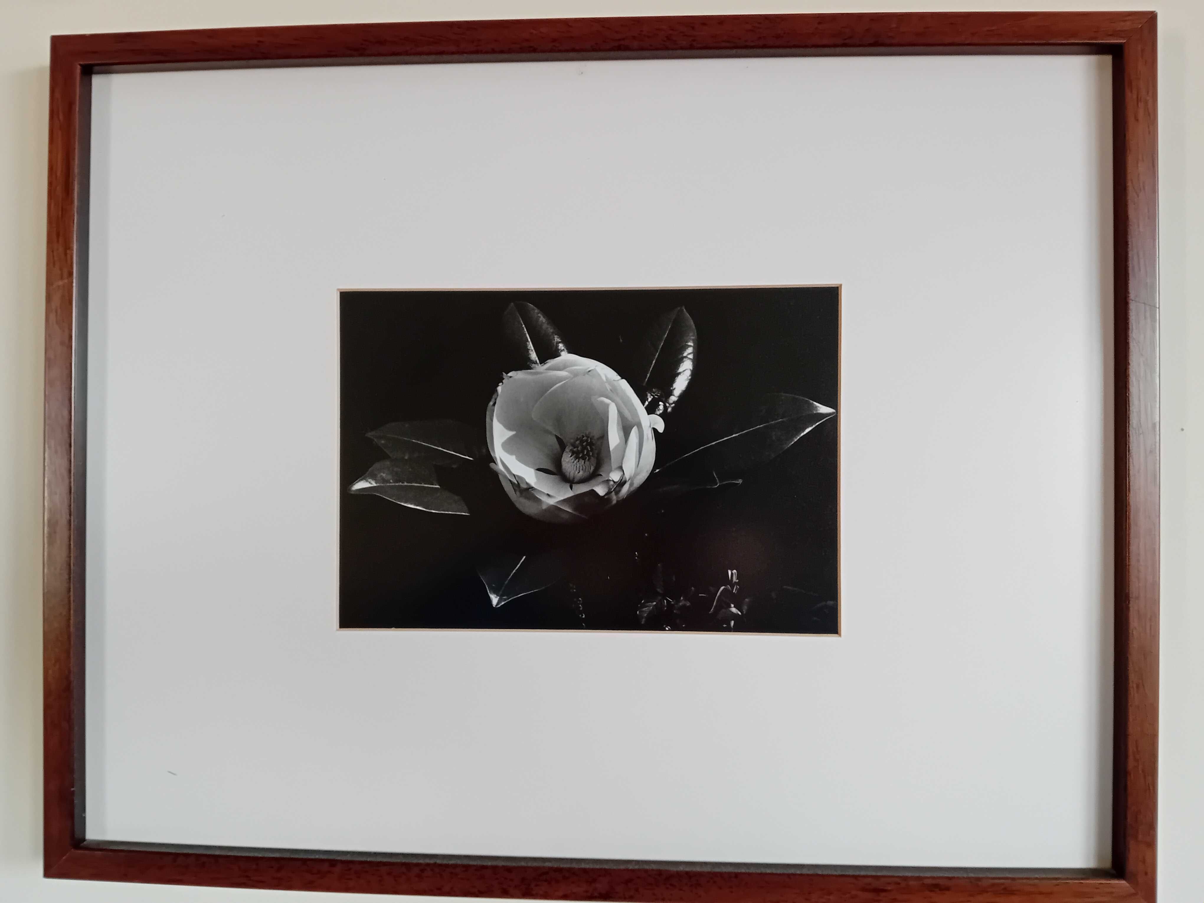 Quadro Flor ao nascer do Sol, 1957