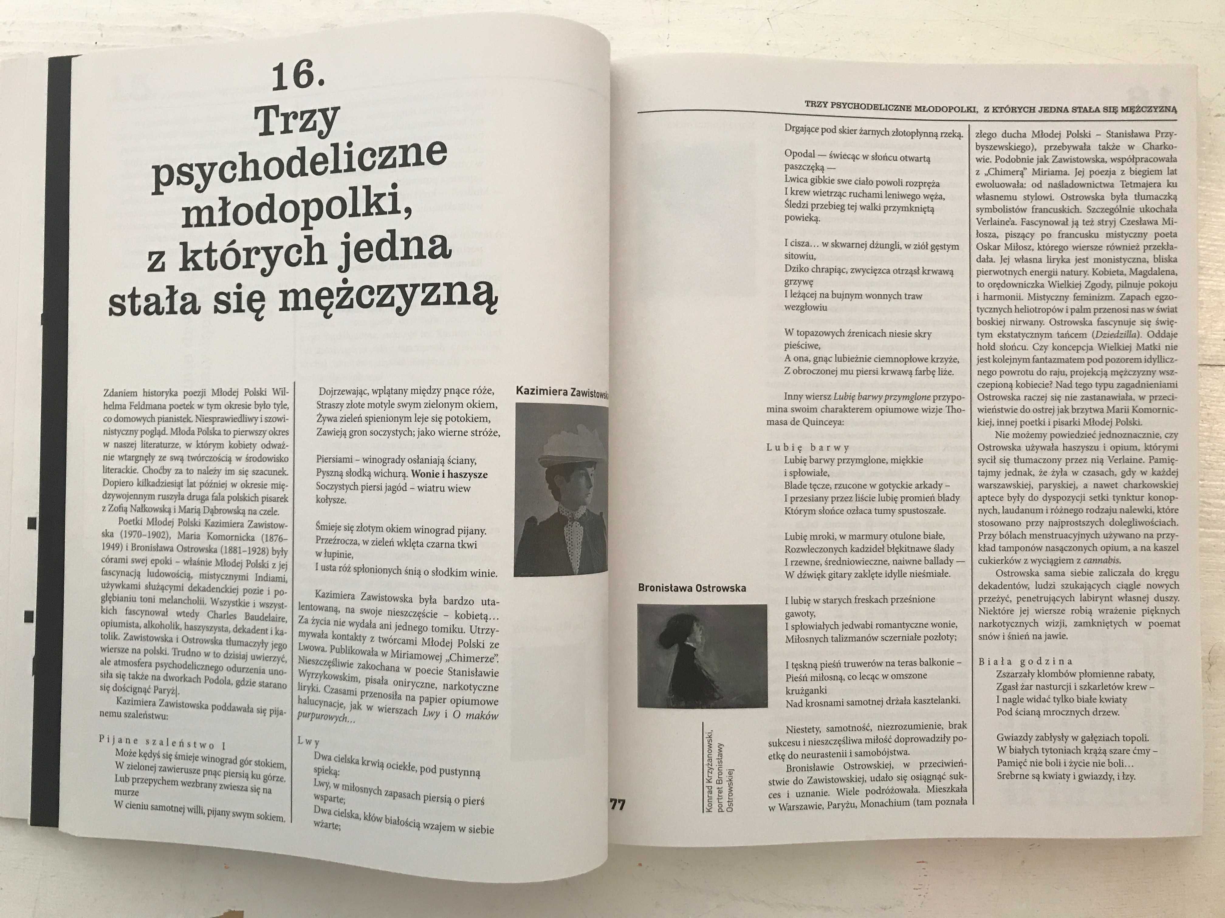 Encyklopedia Polskiej Psychodelii Kamil Sipowicz