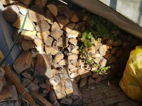 Kominek Maja 8kw