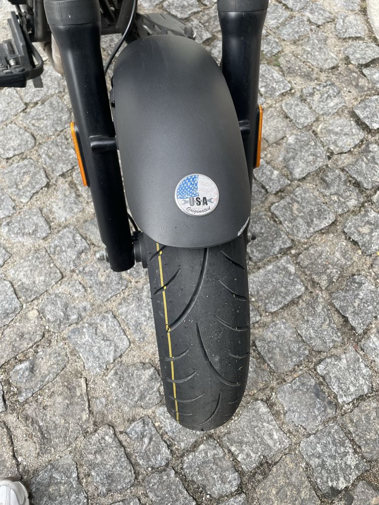 UM Renegade sport