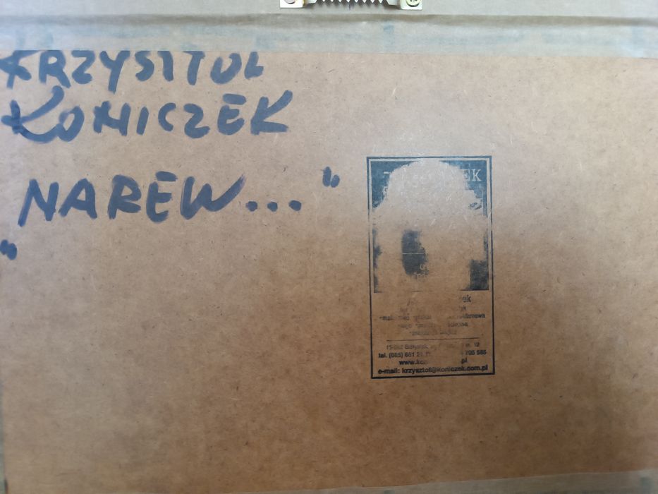 Obraz Krzysztof Koniczek „Narew”, 1994 r. | olej, pilśnia, Podlasie