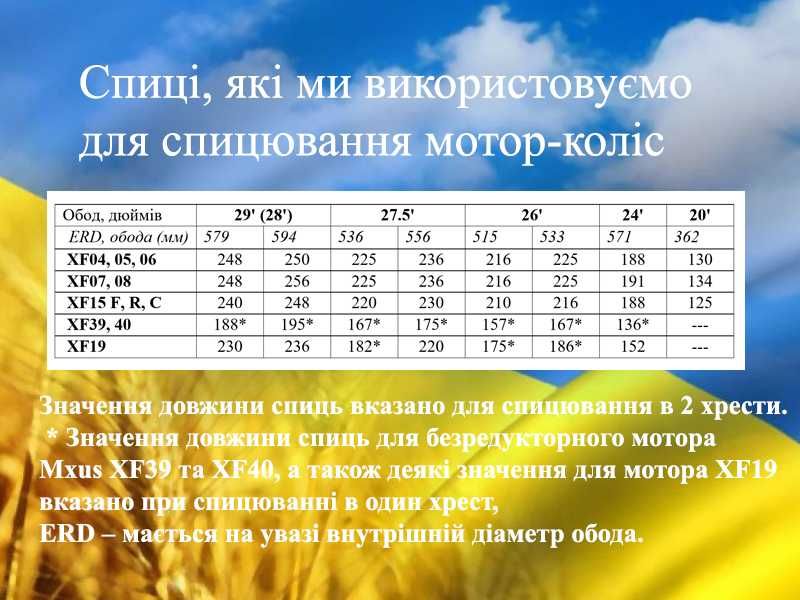 Спиці посилені для мотор-коліс електровелосипеда 2,3 мм 13G та 2,6 12G