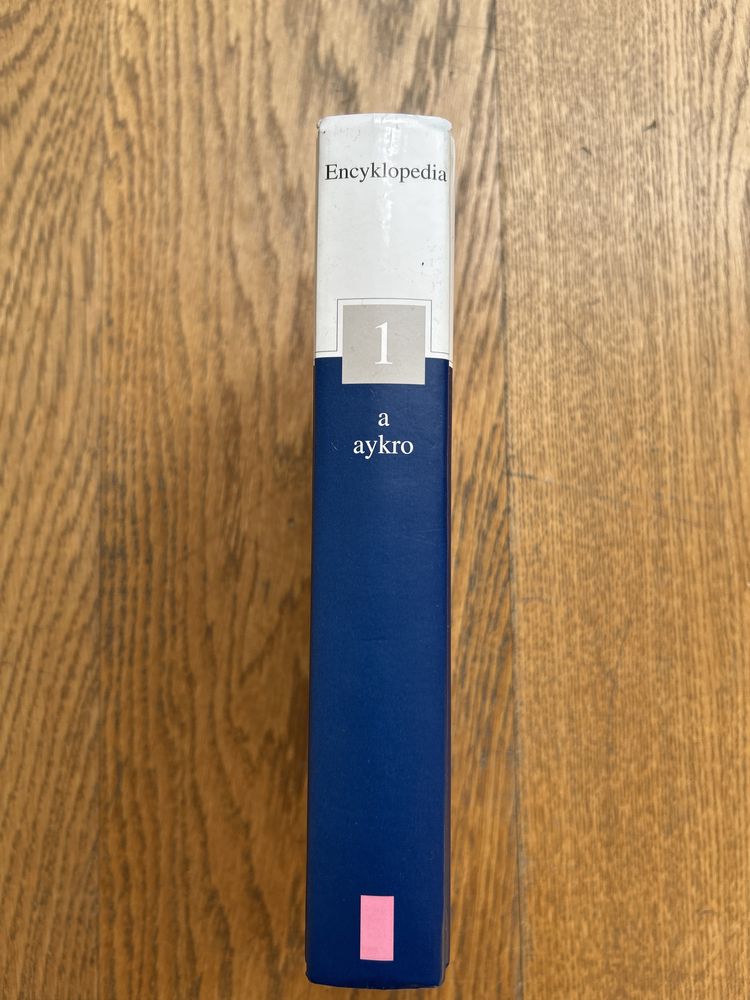 Encyklopedia gazety wyborczej Tom 1