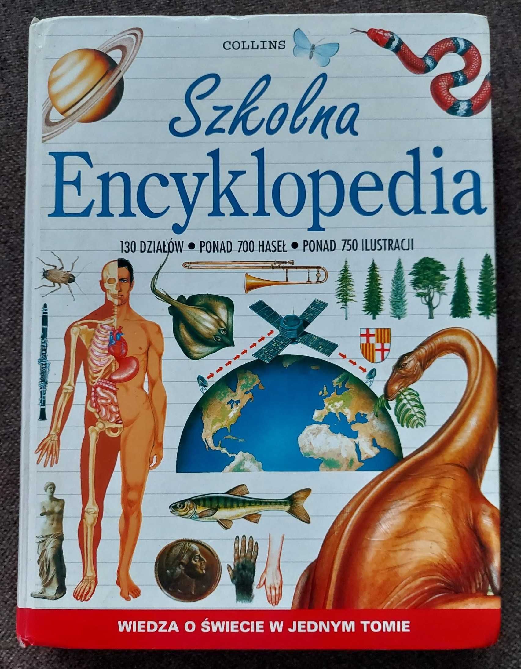 Szkolna encyklopedia - wiedza o świecie w jednym tomie