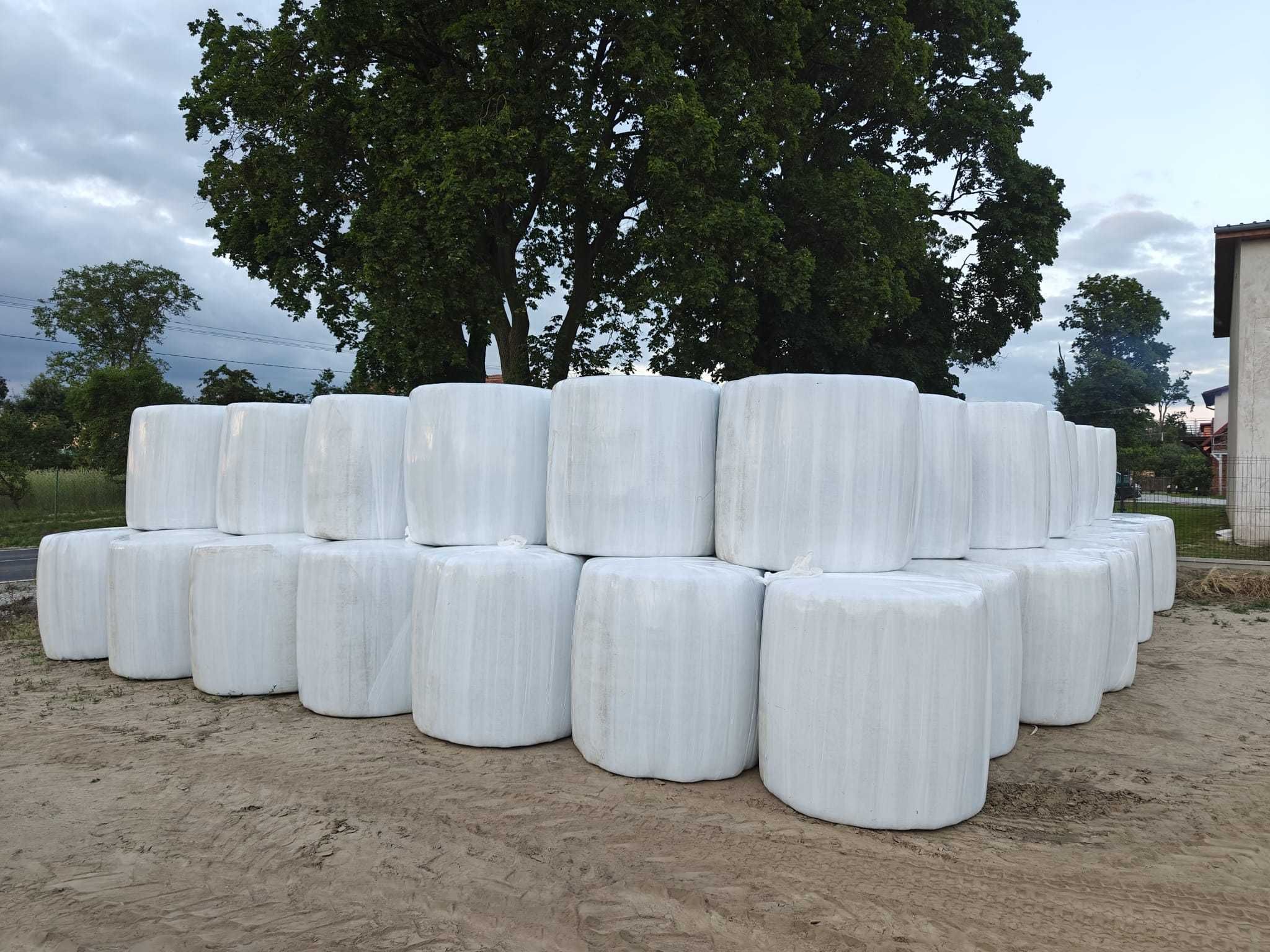 Sianokiszonka 2024 po Krone VariPack