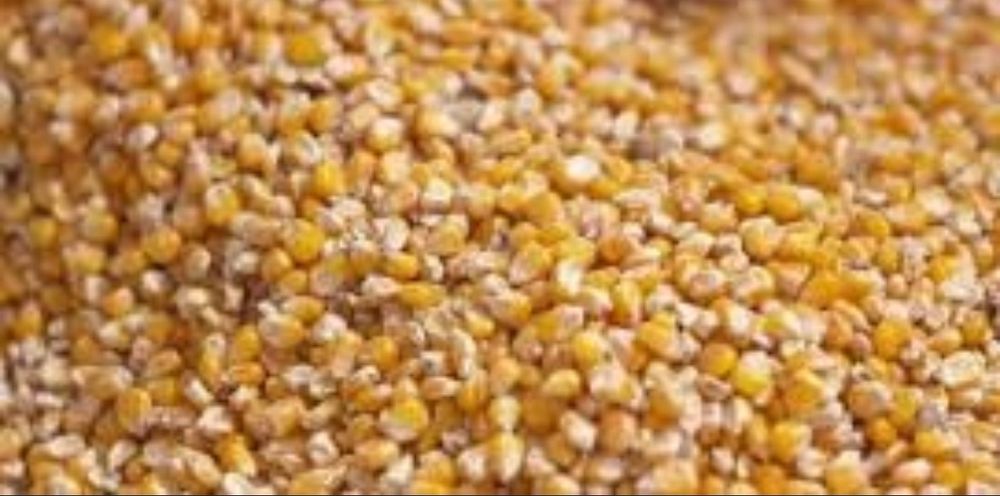 Продам  міняю пшеницю на кукурудзу