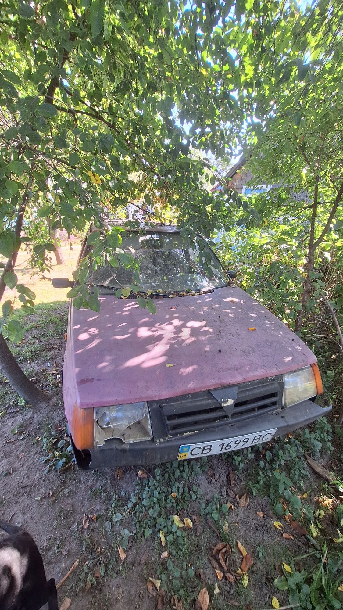 Продам машину не дорого