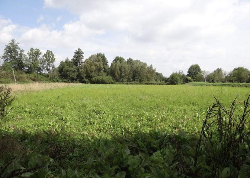 Działka budowlana 4400 metrow