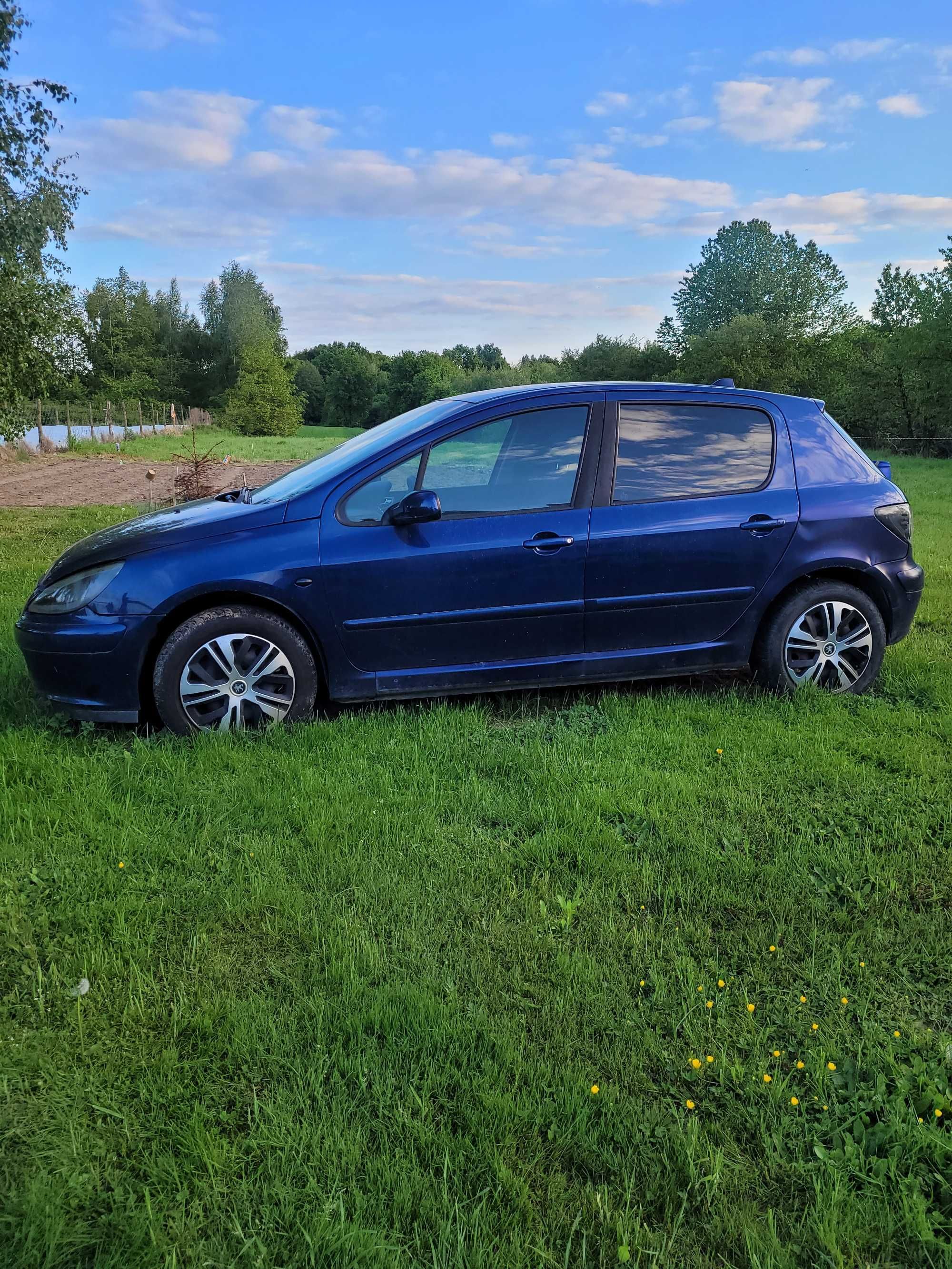 Sprzedam auto Peugeot 307
