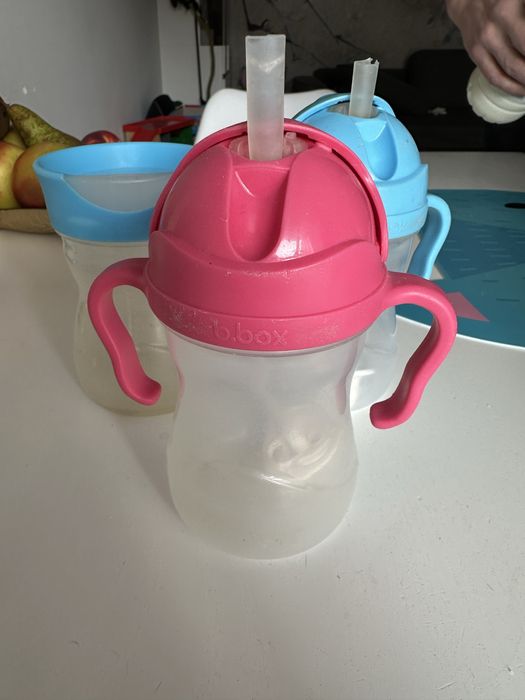 Bbox b-box b box bidon kubek ze słomką kubek niekapek doidy cup zestaw