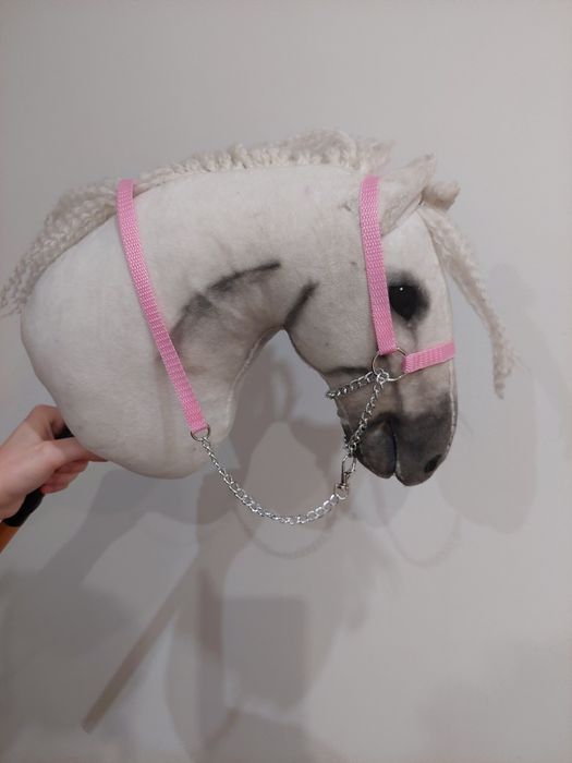 Prezenterka hobby horse