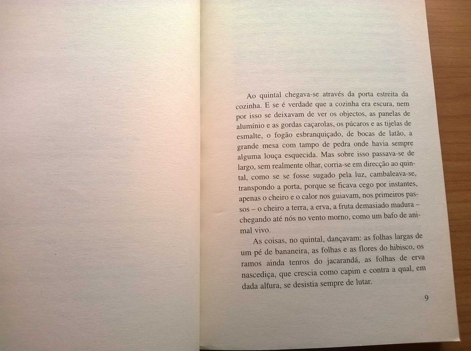 Os Guarda-Chuvas Cintilantes - Teolinda Gersão