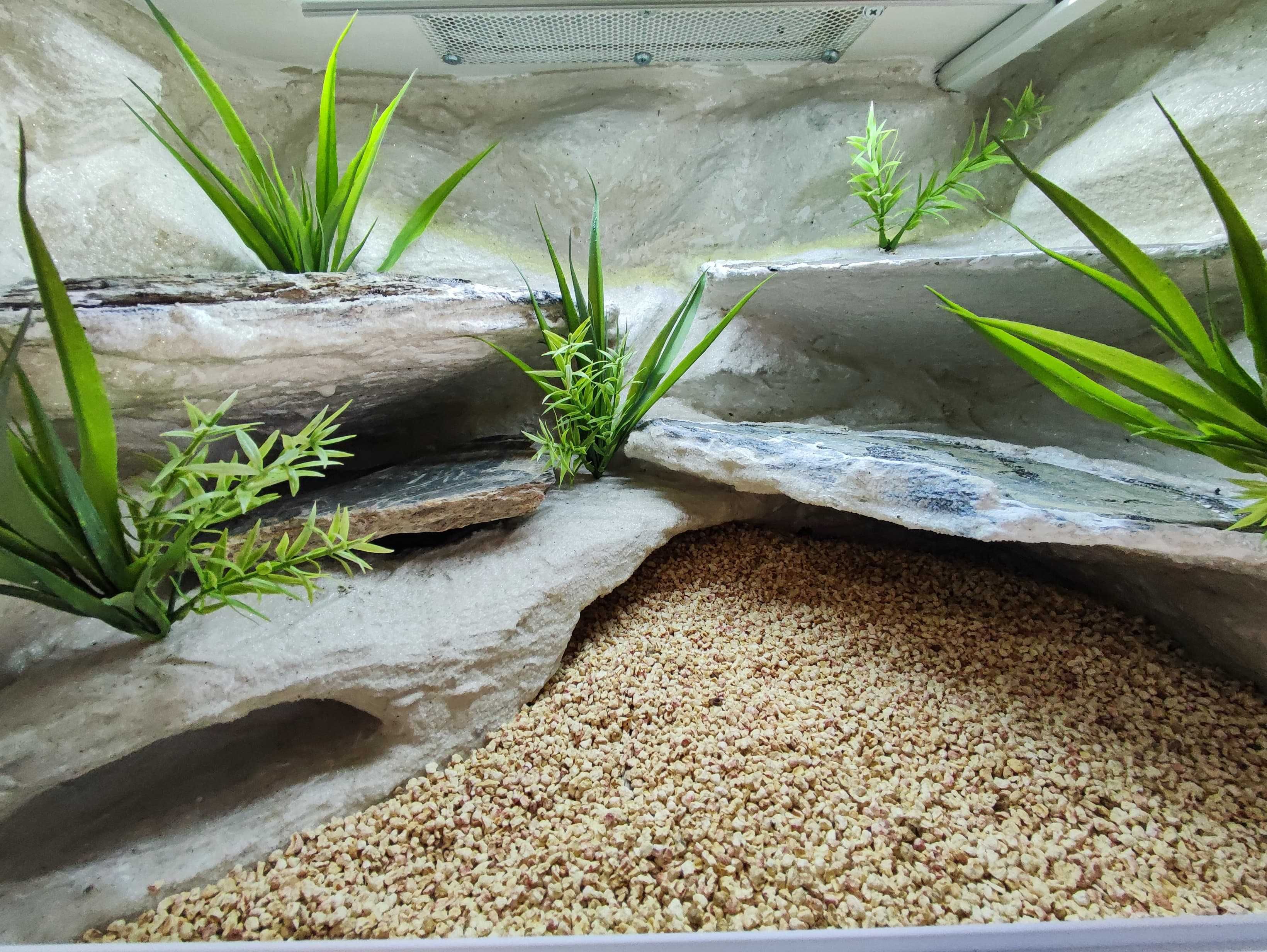 Terrarium pustynne nr691 60/40/40 dla gekona lamparciego DOSTĘPNE