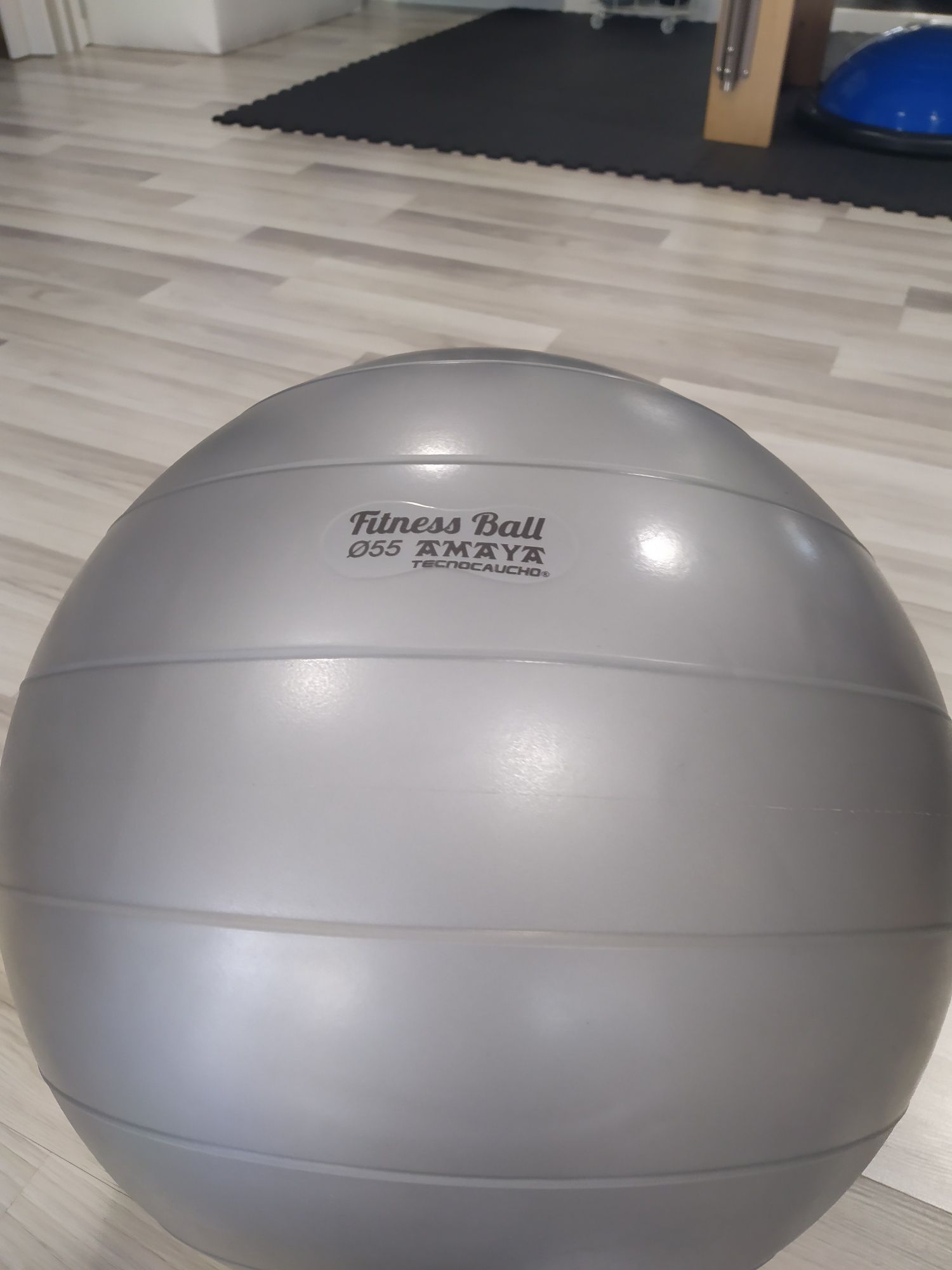 Fitball 55cm novas