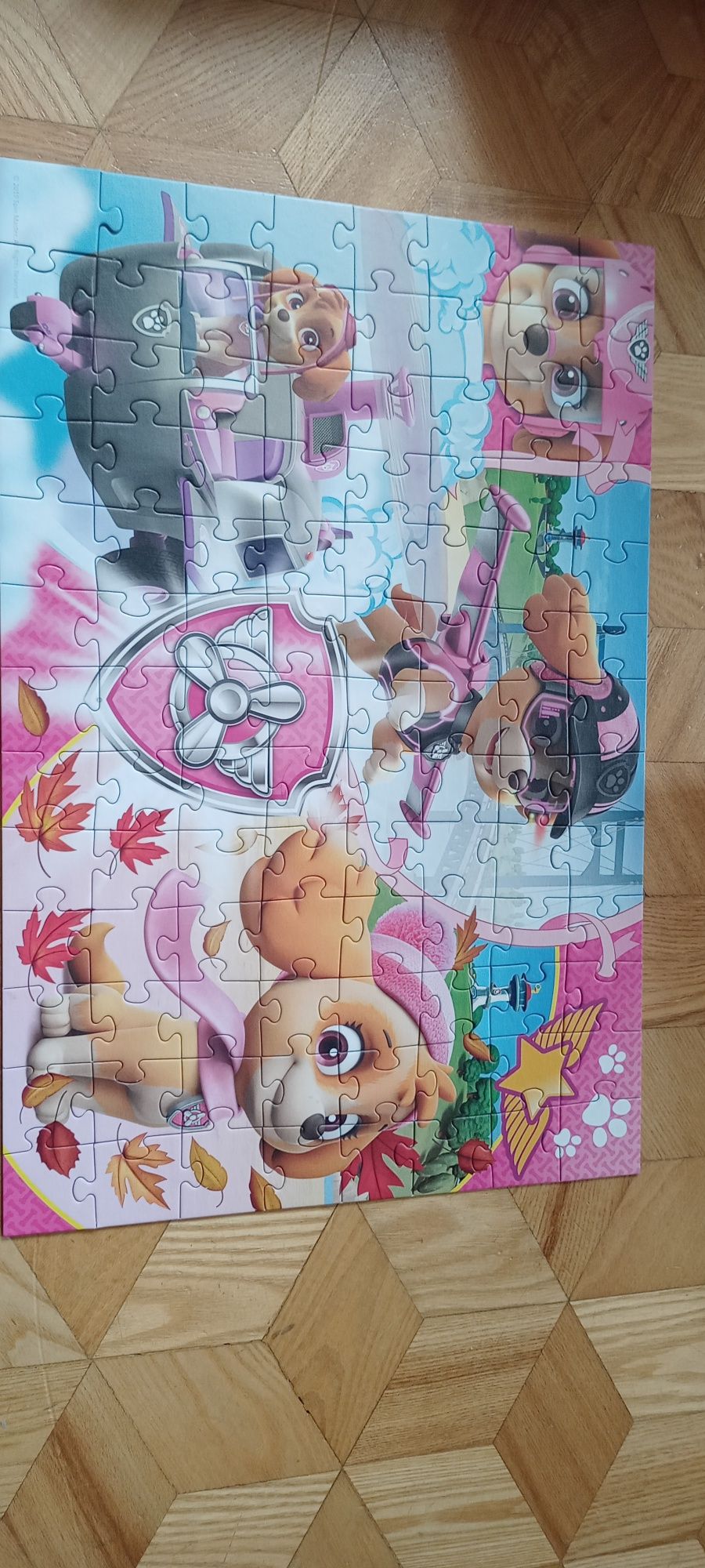 Puzzle trefl 100ele