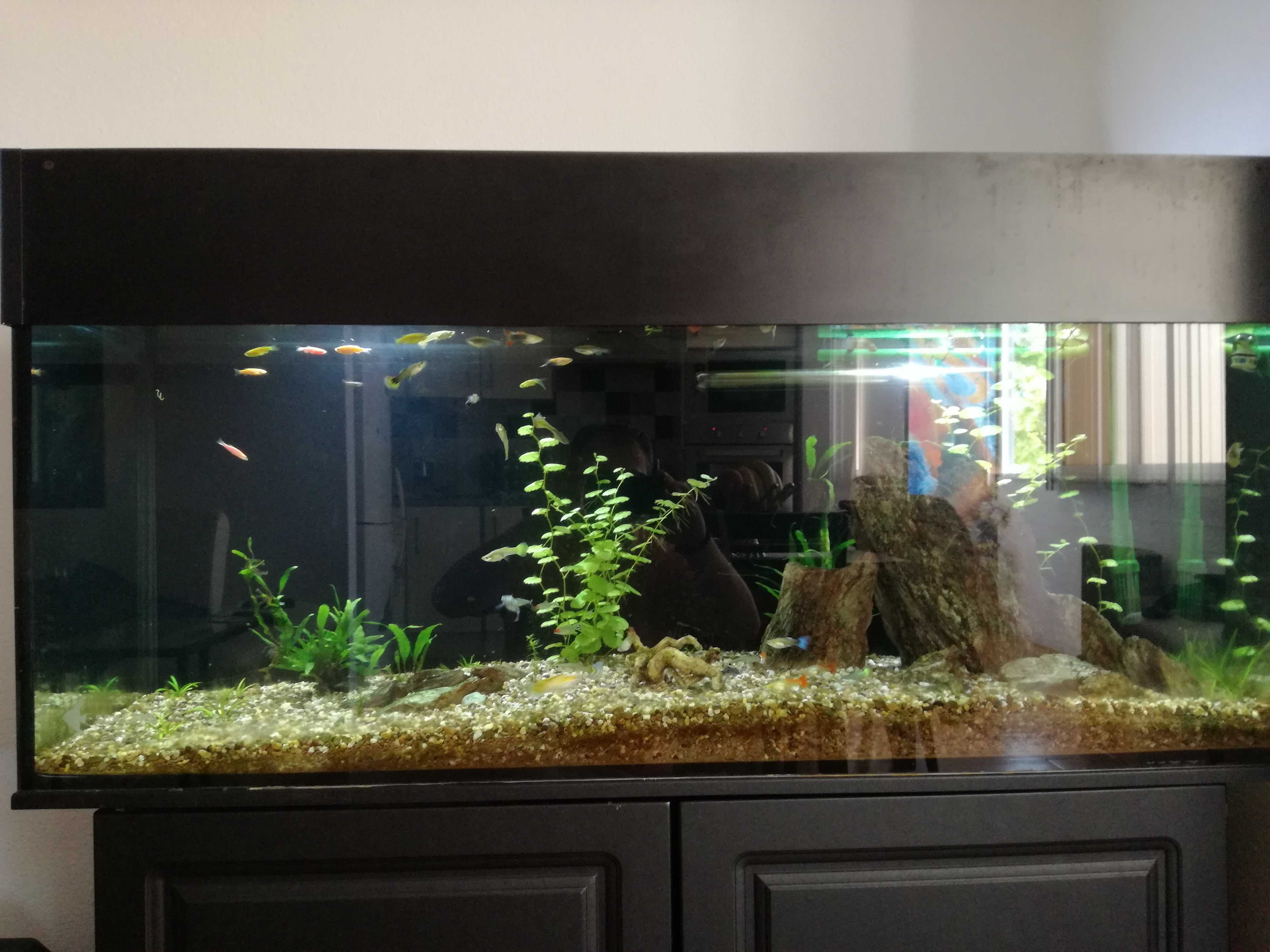 Vendo aquário 1200x500x400mm