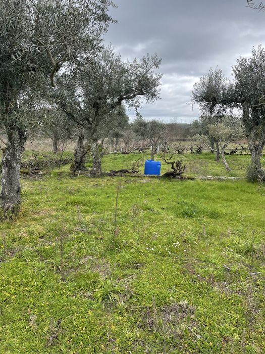 Vende-se Quinta 2500 m2