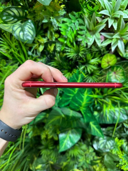 Магазин: Mr.Чохлів- Iphone 11 80%/128Gb