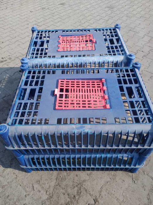 Skrzynki, klatki, pojemniki do transportu drobiu żywego, kur, kaczek