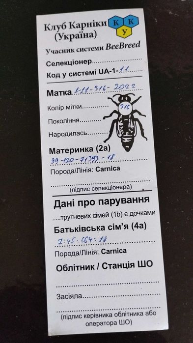 Бджільництво, матки Карніка F1