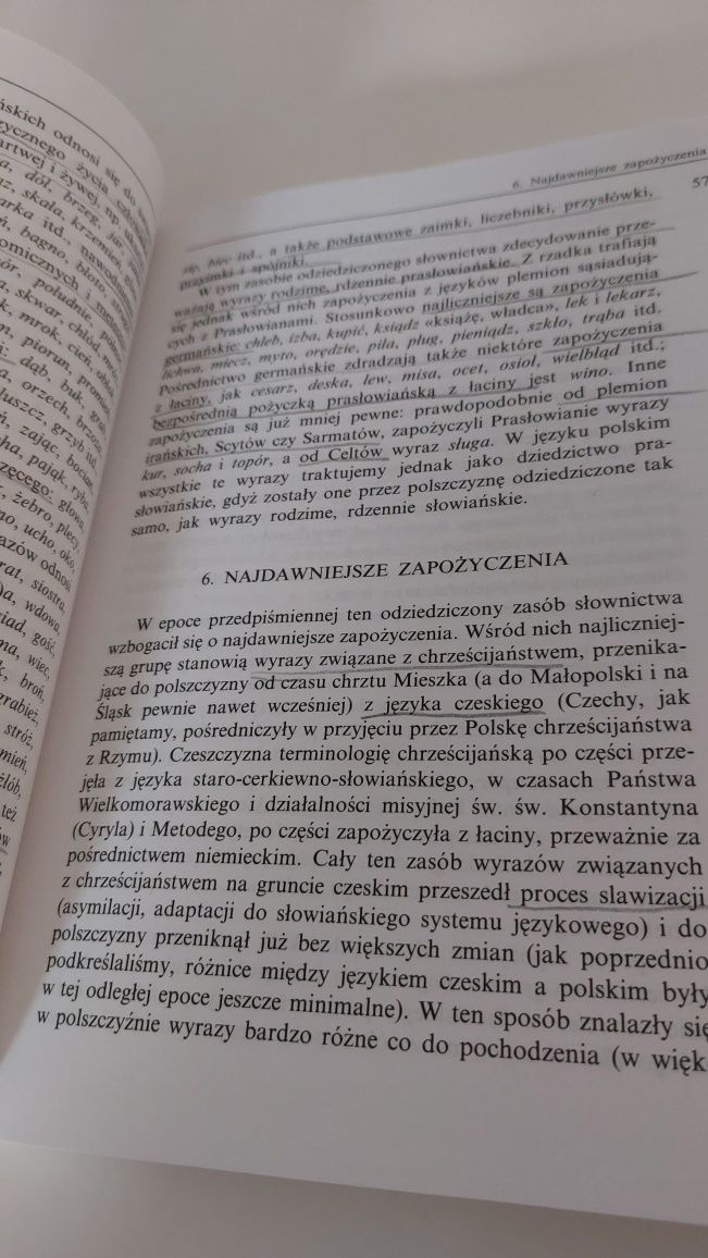 Bogdan Walczak Zarys dziejów języka polskiego
