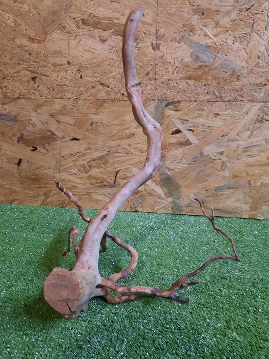 Korzeń do akwarium Red Moore Wood nr 1173 o wymiarach 41/15/23