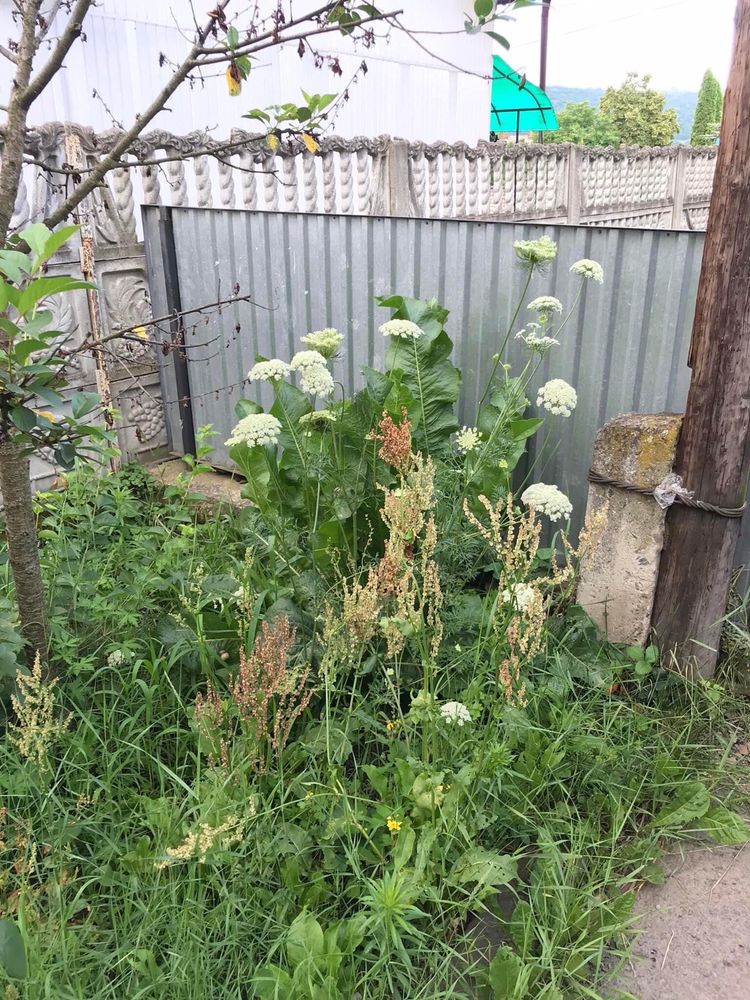 Продаю квартиру в Заліщиках