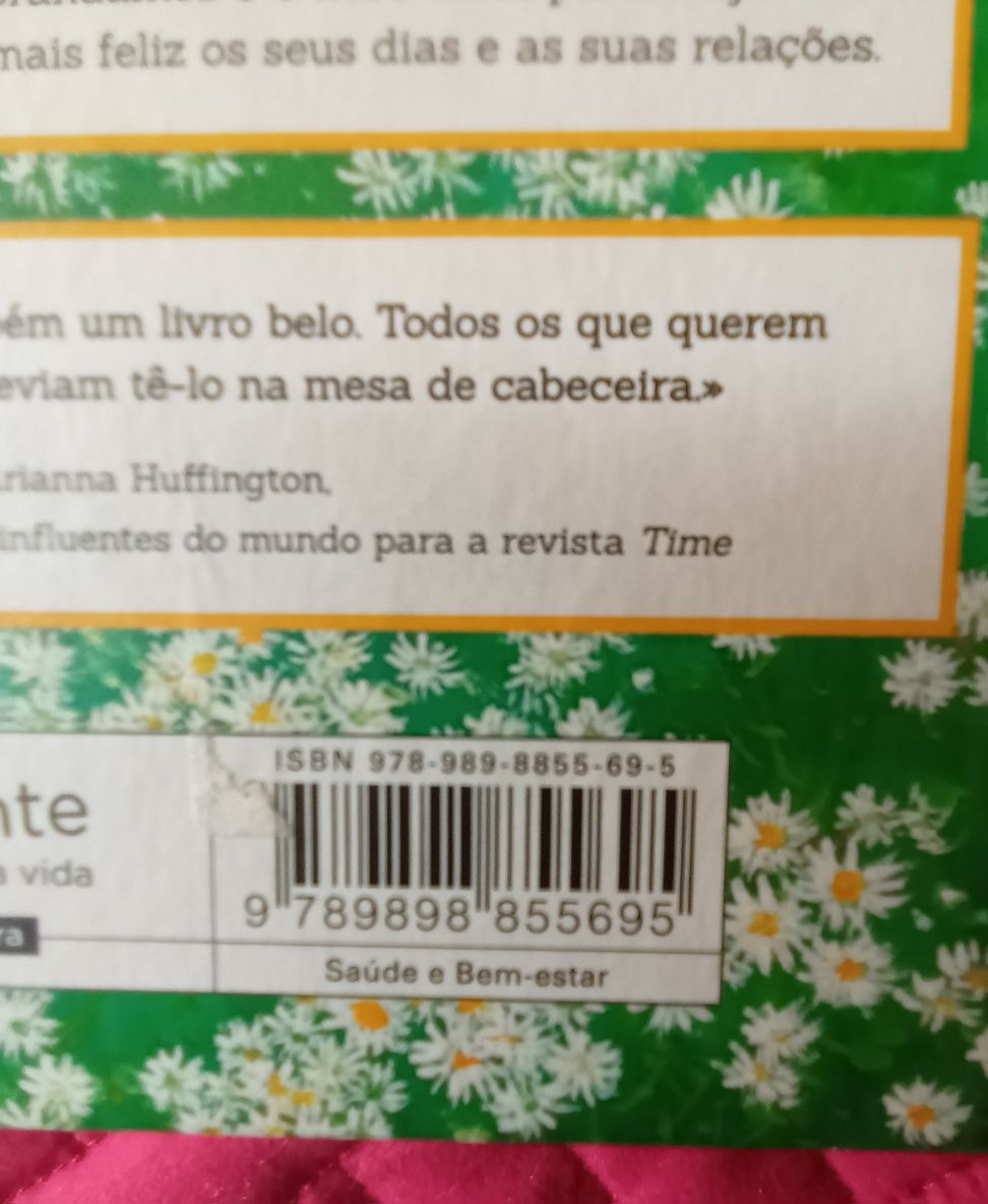 O Que Só Vemos Quando Abrandamos