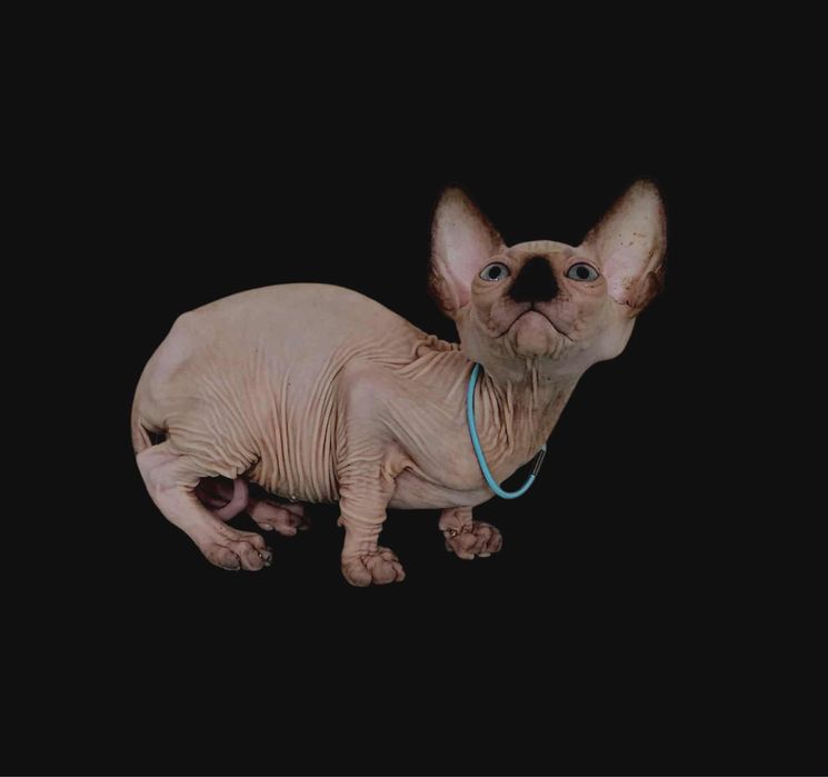 Хлопчик з голубими очіма