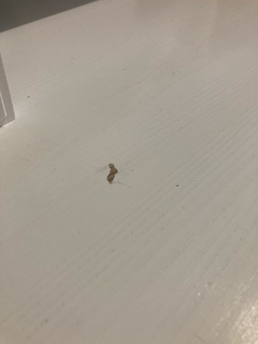 Toaletka biała lite drewno