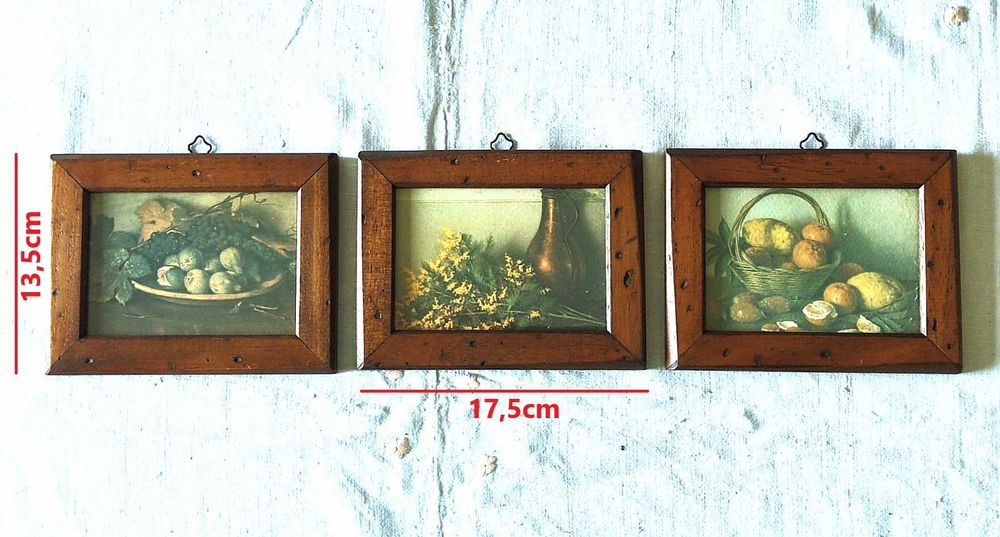 Trio de quadros decorativos de natureza morta