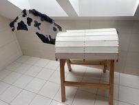 Koń drewniany odbiór Racibórz