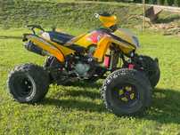 Quad Bashan bs250s one