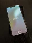 iPhone 13 Pro Max 1TB!!