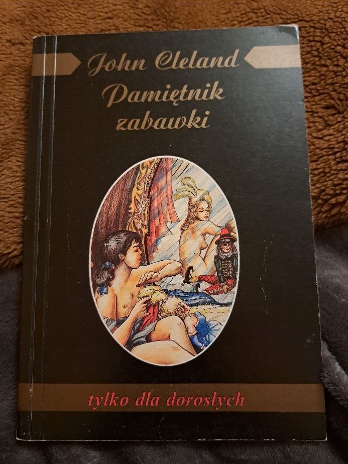 Pamiętnik zabawki.  Literatura dla dorosłych.