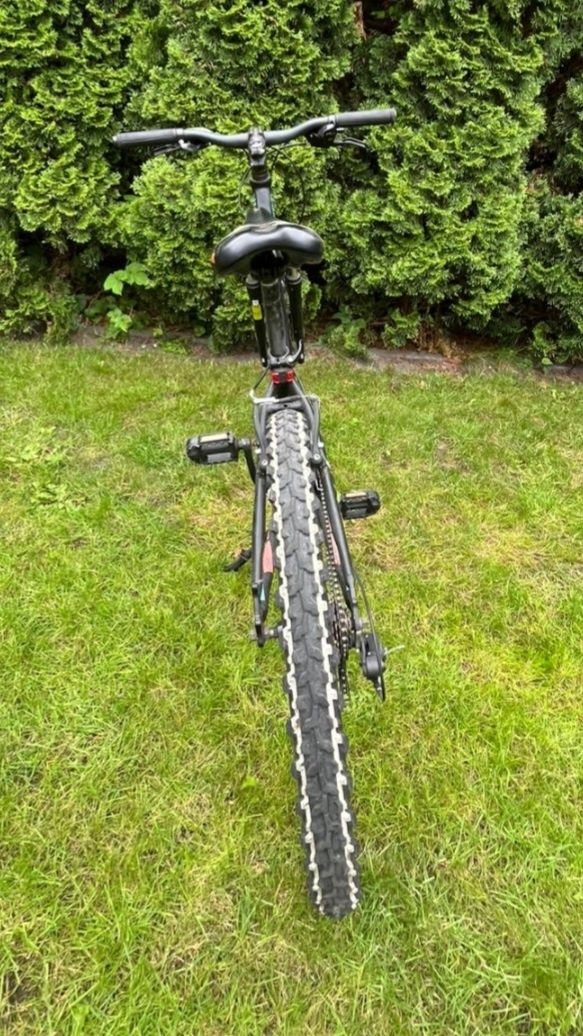 Rower Kands Monster