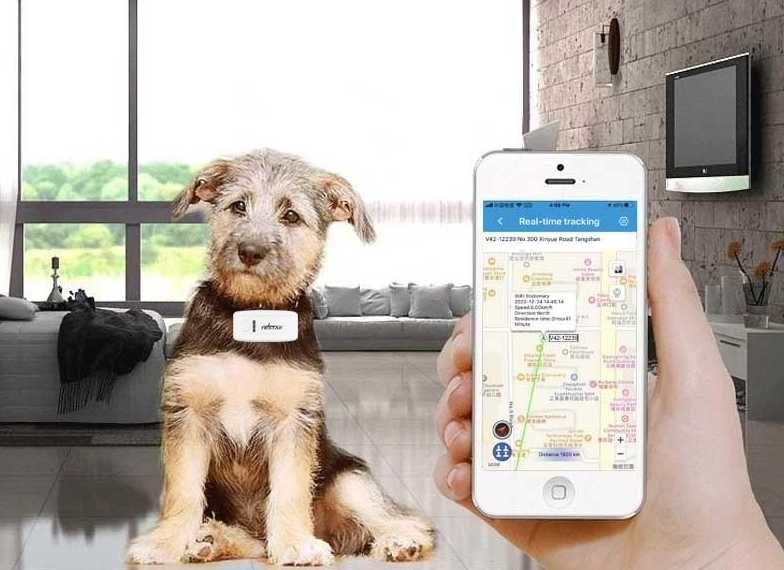 Obroża Lokalizator GPS Dla Zwierząt Psa Kota | WYPRZEDAŻ -20%
