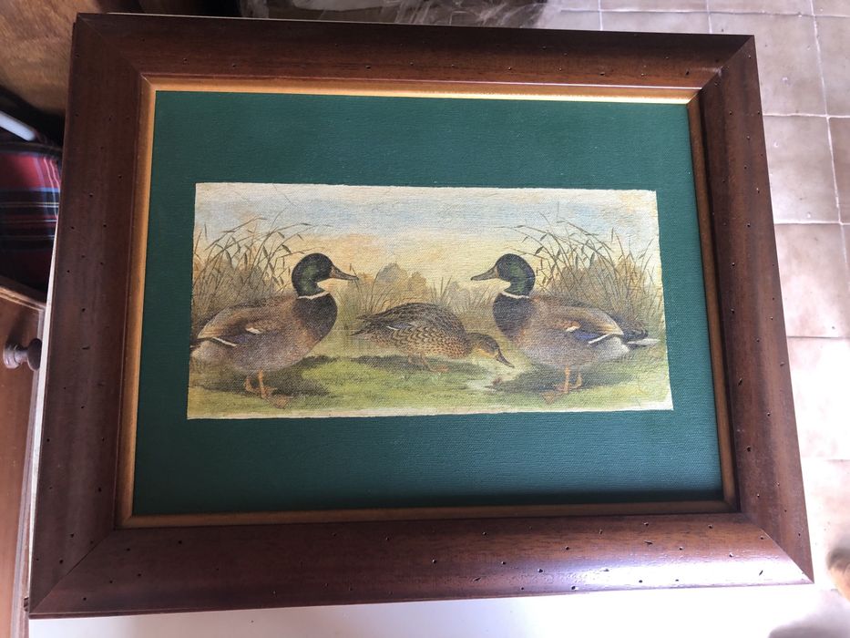 Conjunto de 7 quadros antigos